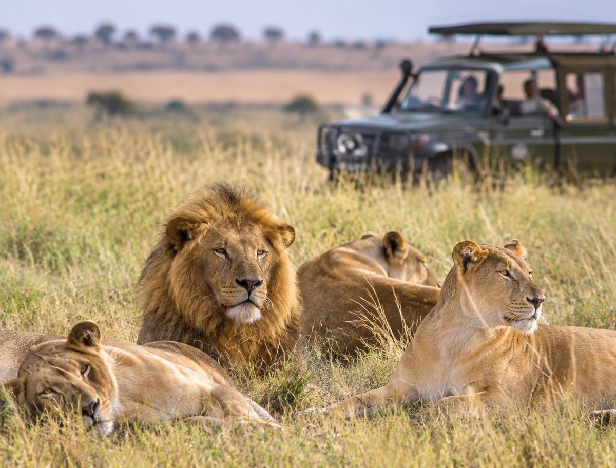 Maasai Mara Safari